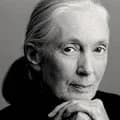 Jane Goodall